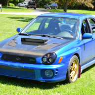 #2003Bug Avatar