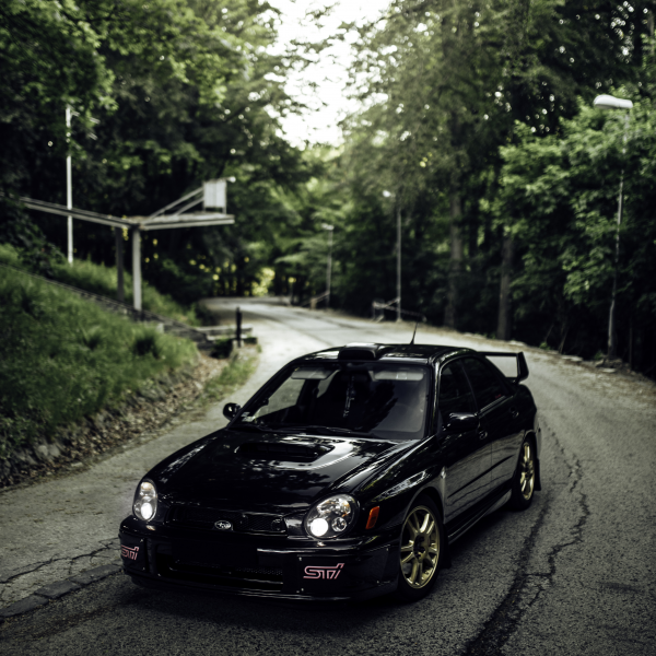 #BL069ZR Avatar